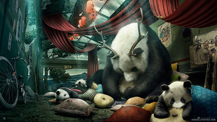Giant panda Family . creative and graphics HD wallpaper