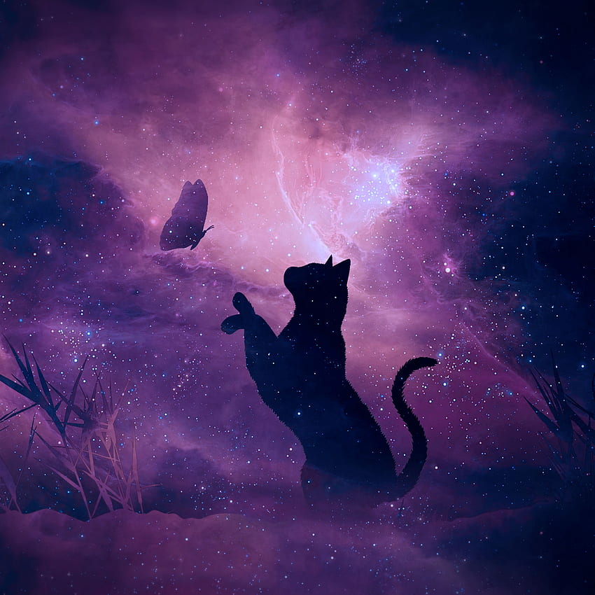 cat, silhouette, butterfly, starry sky, galaxy, stars, shine ipad pro 12.9 retina for parallax background, 3D Purple Butterfly and Stars HD phone wallpaper