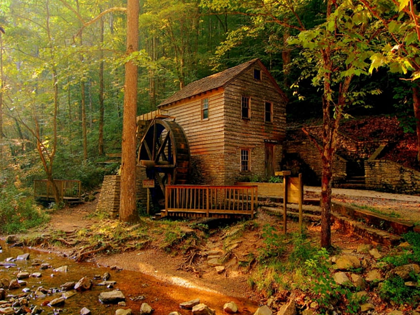 Rumah jauh di dalam hutan, hutan, alam Wallpaper HD