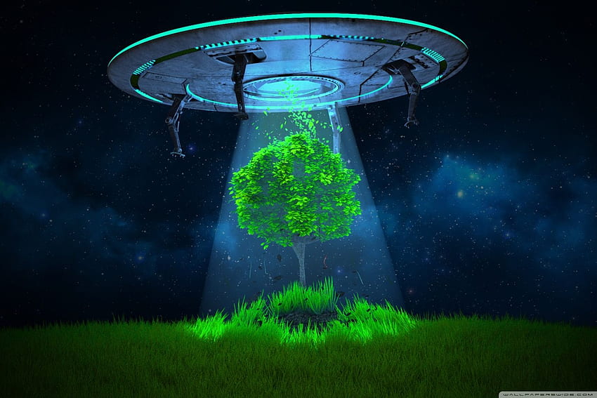 UFO Tree Abduction ❤ for Ultra TV, Alien UFO HD wallpaper