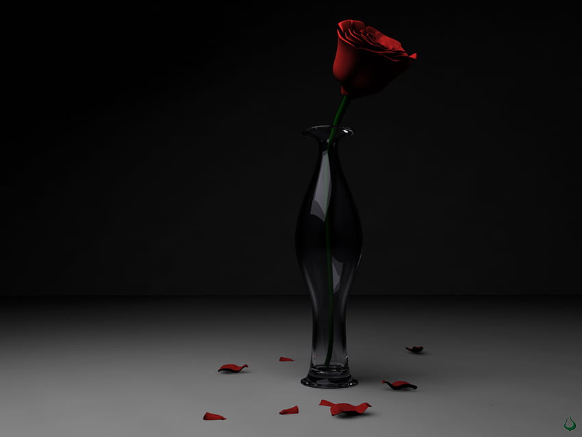 2 rose .jpg, rose, black, bud, petals, vase HD wallpaper | Pxfuel