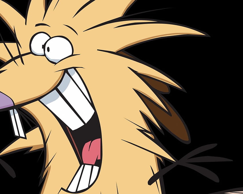 vector beavers the angry beaver tpG [] for your , Mobile & Tablet. Explore Angry Beavers . Birds , Angry Birds , Angry Birds Border HD wallpaper