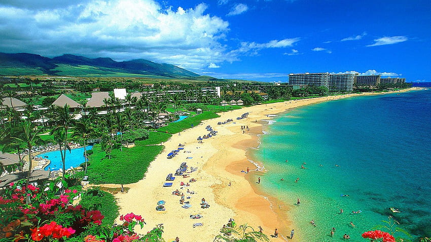 Hawaii Tourismus Kostenlos 4, Honolulu Hawaii HD wallpaper