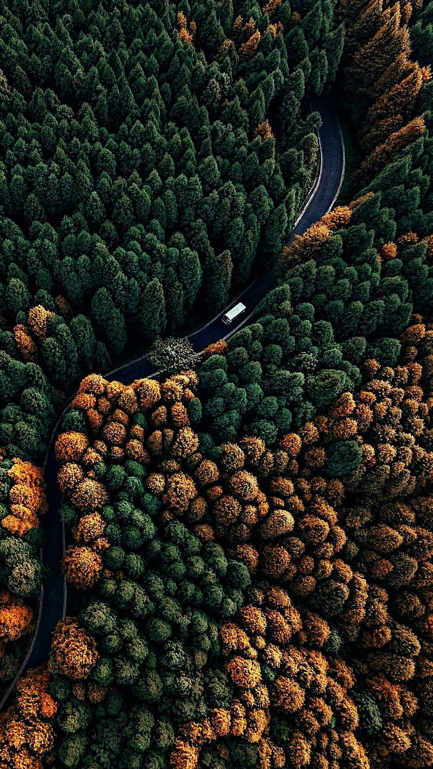 Amazing Drone graphy - Nature Android, Drone Forest wallpaper ponsel HD