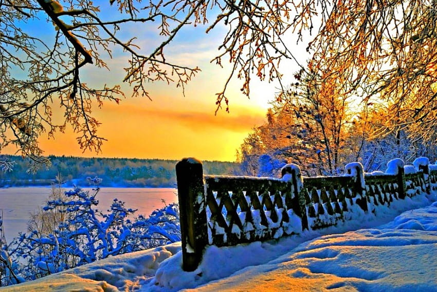 冬の夕日、冬、輝き、木、反射、光、フィールド、雪、輝き、フェンス、枝、自然、荒野、空、日没 高画質の壁紙