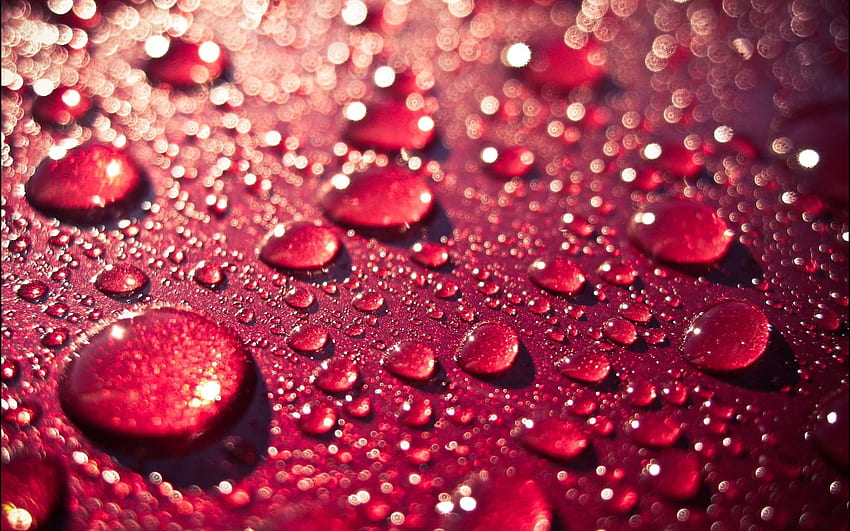 Back To 79 3D Water Drop - Red Drops Of Water HD wallpaper