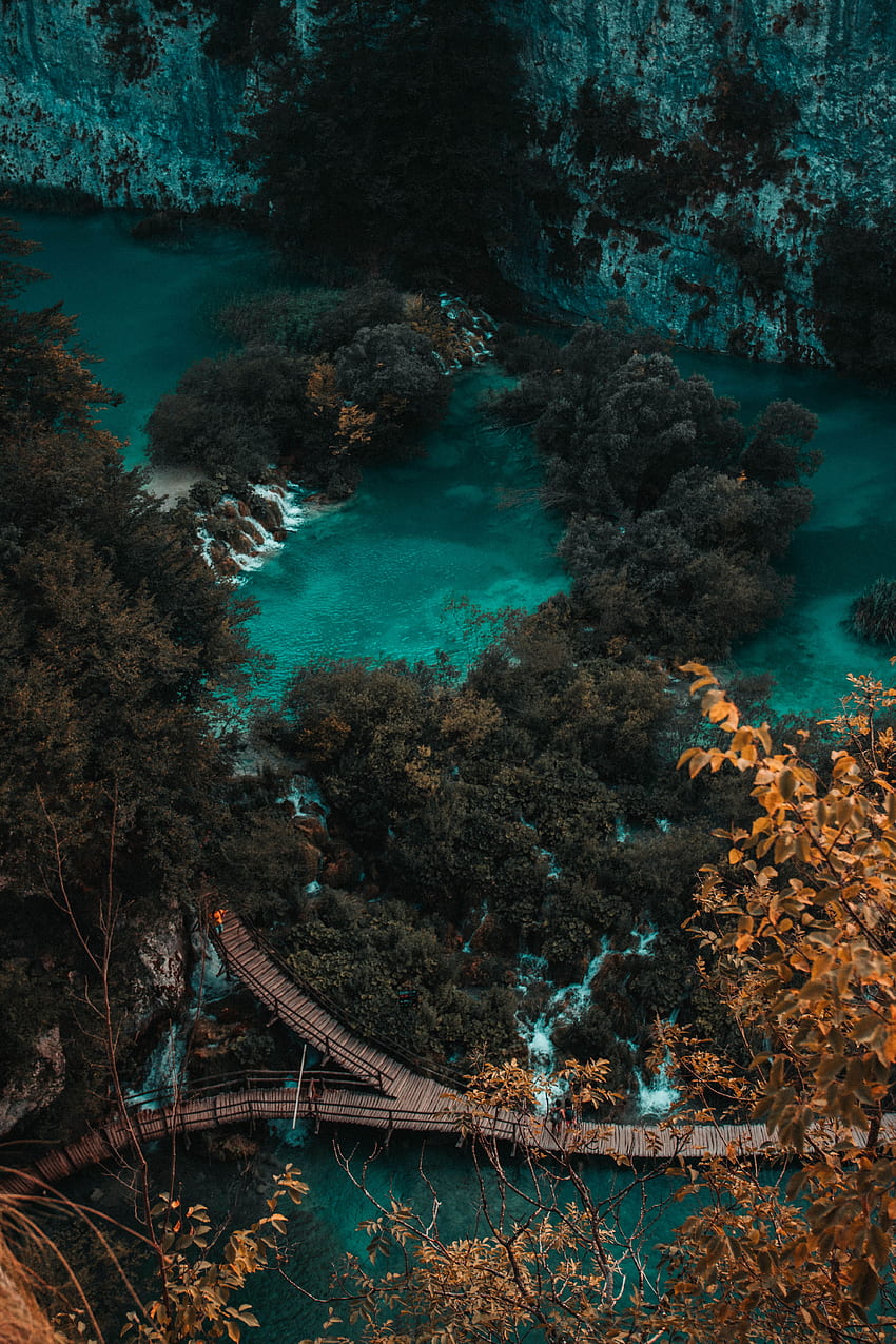 Natur, Wasser, Bäume, Blick von oben, Küste, Brücke HD-Handy-Hintergrundbild