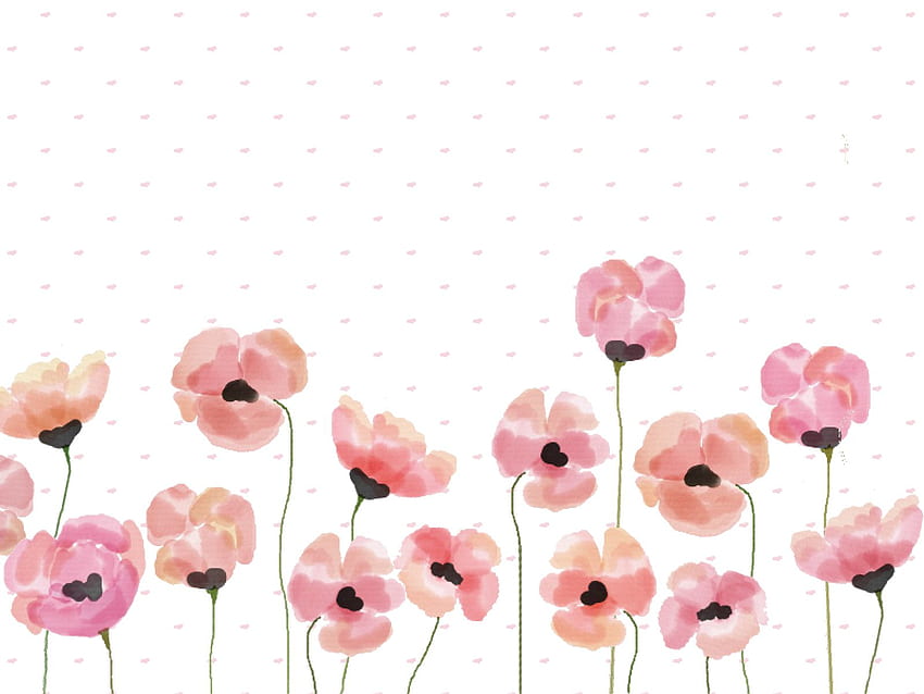 Różowy mak akwarelowy – Make and Tell, Poppy Flower Tapeta HD