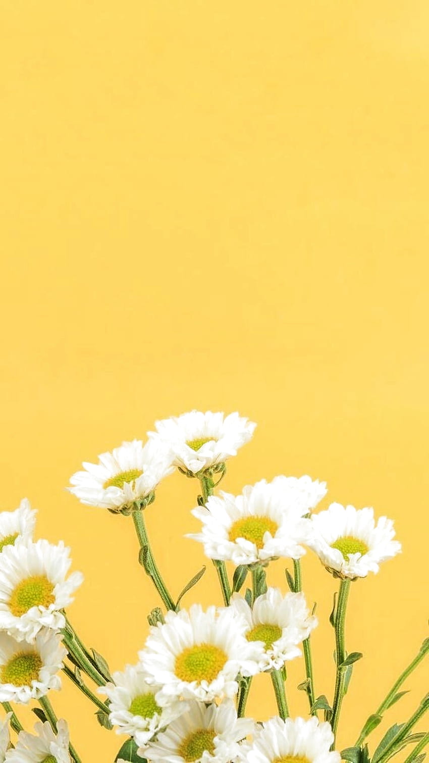 di 2020. ponsel, iphone, bunga, зелени и жълти цветя HD тапет за телефон
