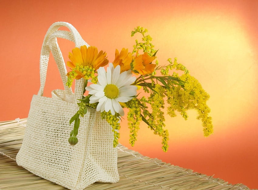 ดอกไม้, ดอกคาโมไมล์, ทุ่ง, กระเป๋า, ดอกคาโมไมล์ วอลล์เปเปอร์ HD