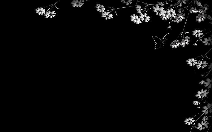 Fleurs, papillon, fond noir Fond d'écran HD