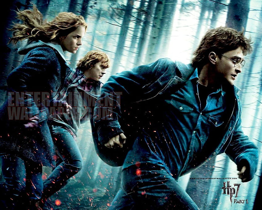 Harry Potter and the Deathly Hallows - Part I - Harry Potter, Harry Potter Movies HD wallpaper