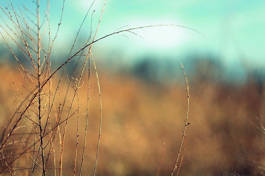 Làm thế nào để tạo ra phông nền Bokeh toàn màn hình và ảnh nền graphy nghệ thuật HD? Chúng tôi sẽ hướng dẫn bạn trong video chỉnh sửa phông nền đơn giản và hiệu quả nhất. Hãy cùng tìm hiểu và tạo ra những bức ảnh tuyệt đẹp cho riêng mình nào!