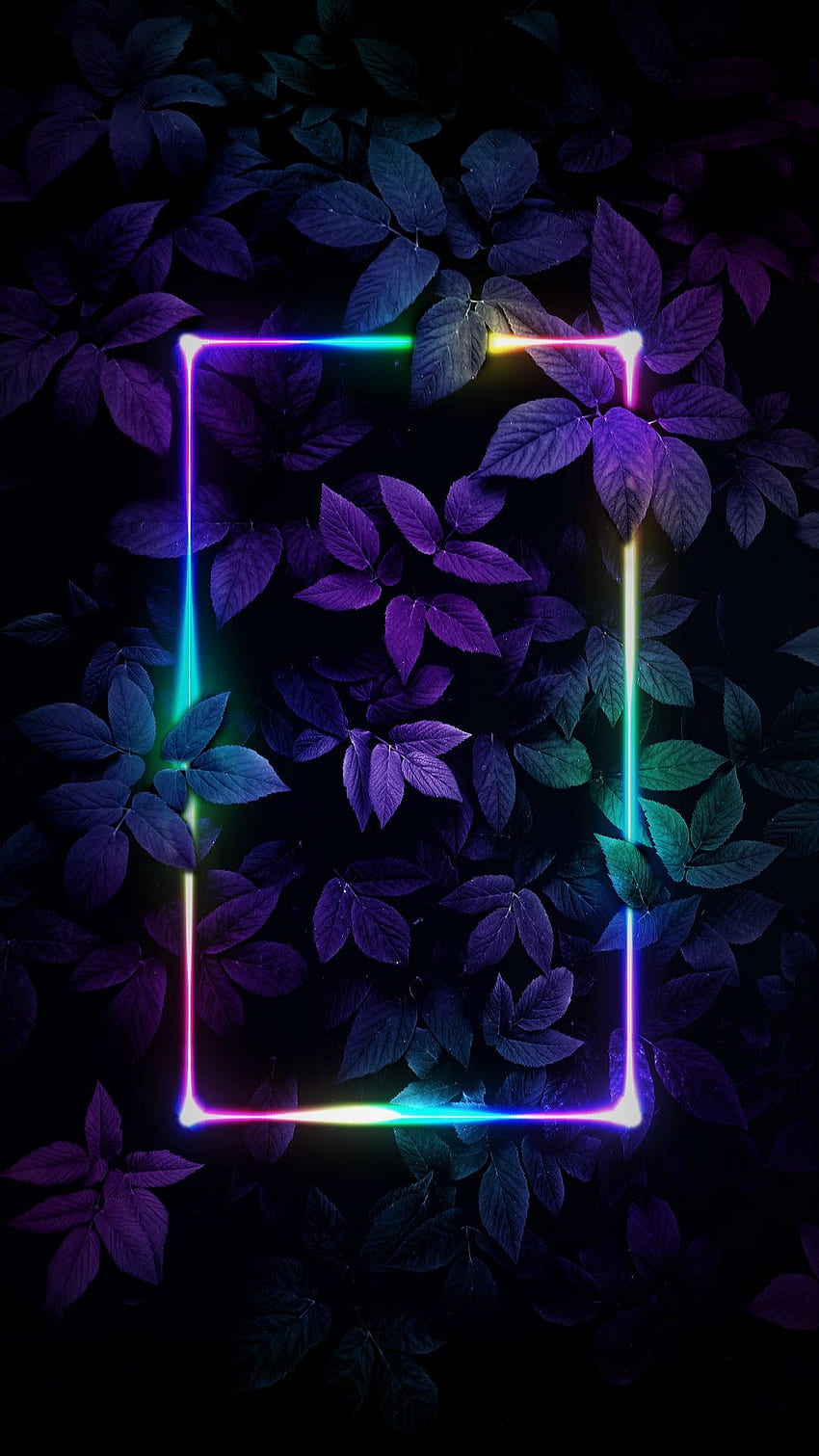 Feuilles, néon, sombre, violet, rectangle Fond d'écran de téléphone HD