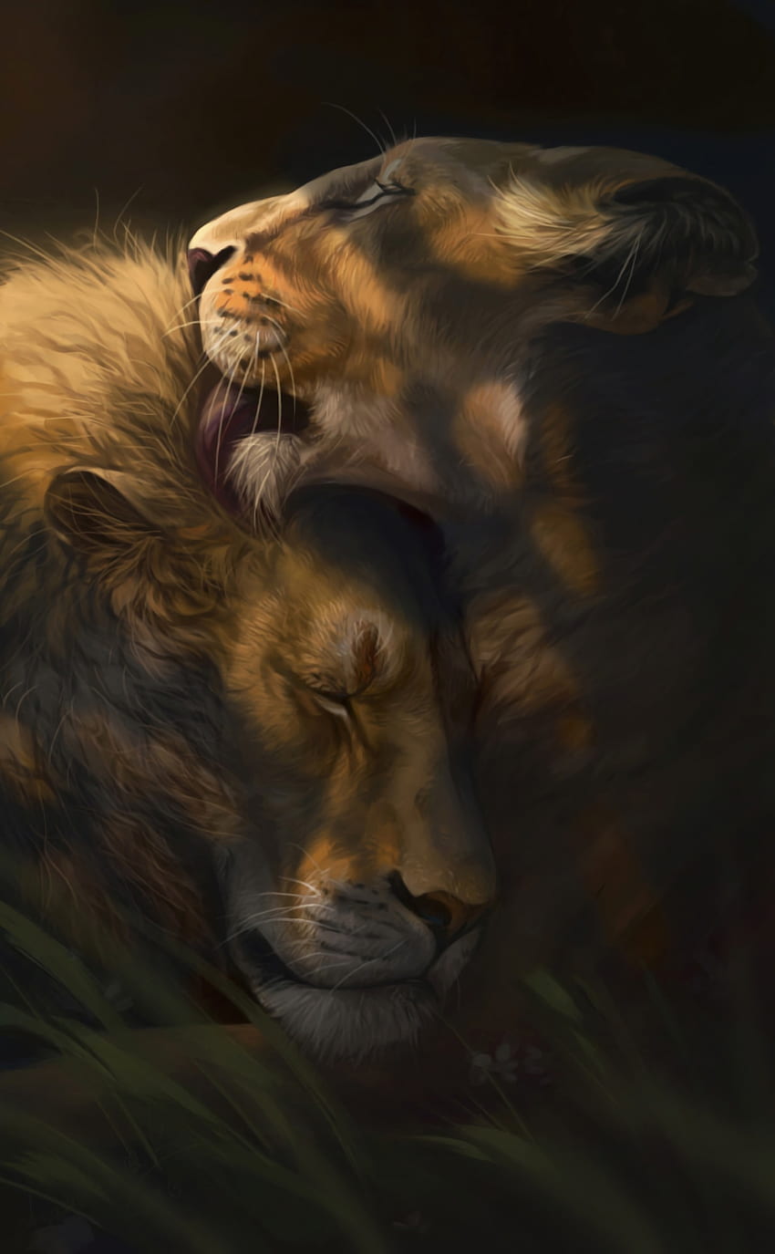Art, Love, Lion, Lioness, Nice, Nicely HD phone wallpaper