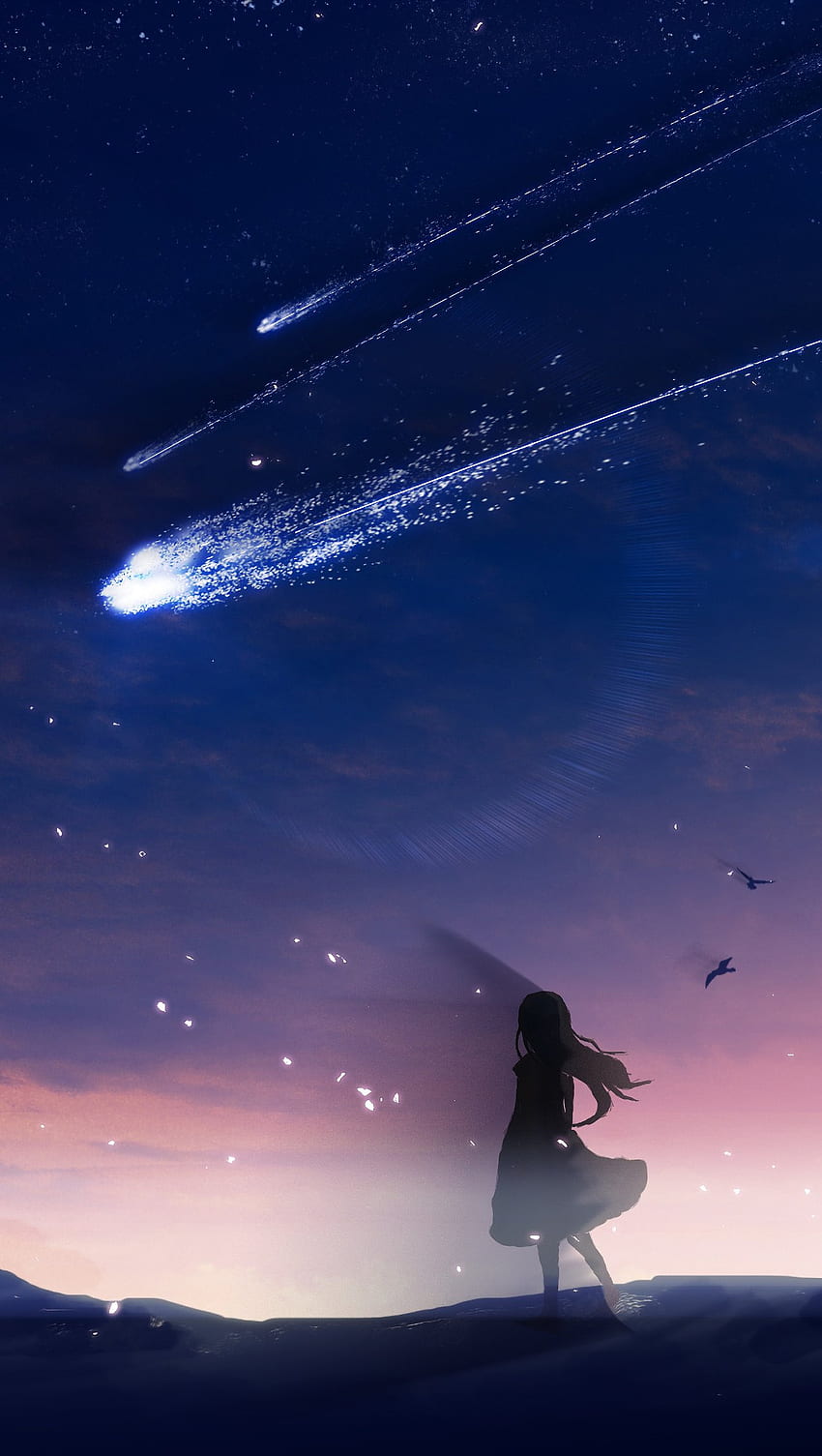 Anime Cometa Cielo Noc, atmos, dibujo, ermoso HD phone wallpaper