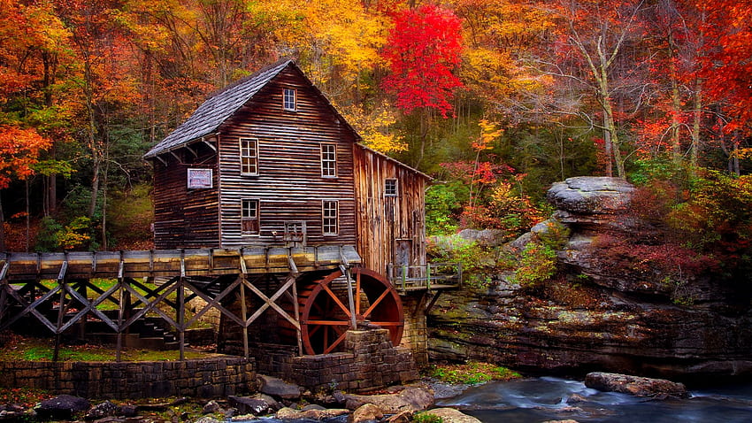 秋のミル、カラフル、クリーク、ミル、秋、木、秋、水、森、紅葉 高画質の壁紙