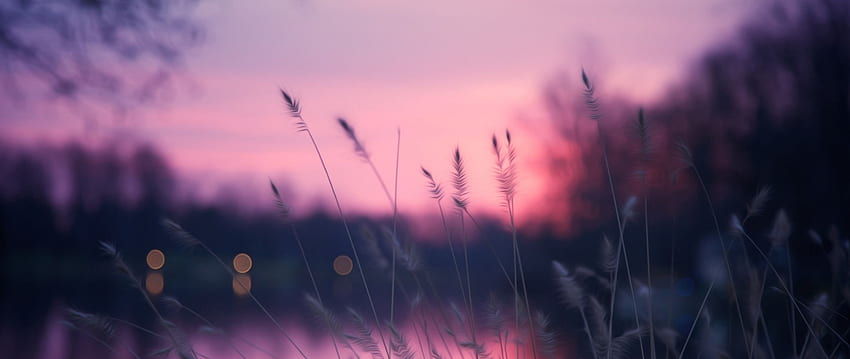 Lago, hierba, puesta de sol, púrpura Dual, 2560X1080 fondo de pantalla