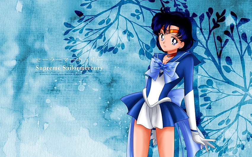 Sailor Mercury - Mizuno Ami - HD wallpaper