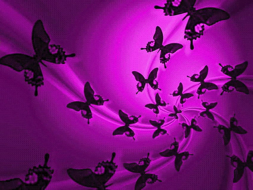Aesthetic Purple Butterfly, Hearts and Butterflies HD wallpaper