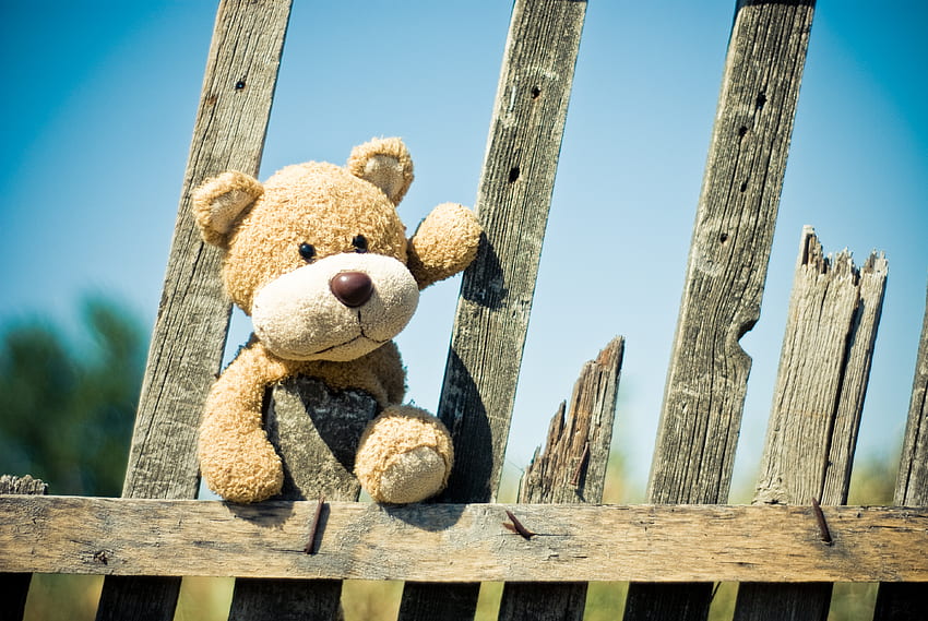 Teddy Bear, , , Toy, Fence HD wallpaper