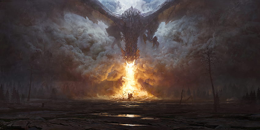 dragon, Fire, Fantasy art, Digital art, Dark fantasy / and Mobile Background HD wallpaper