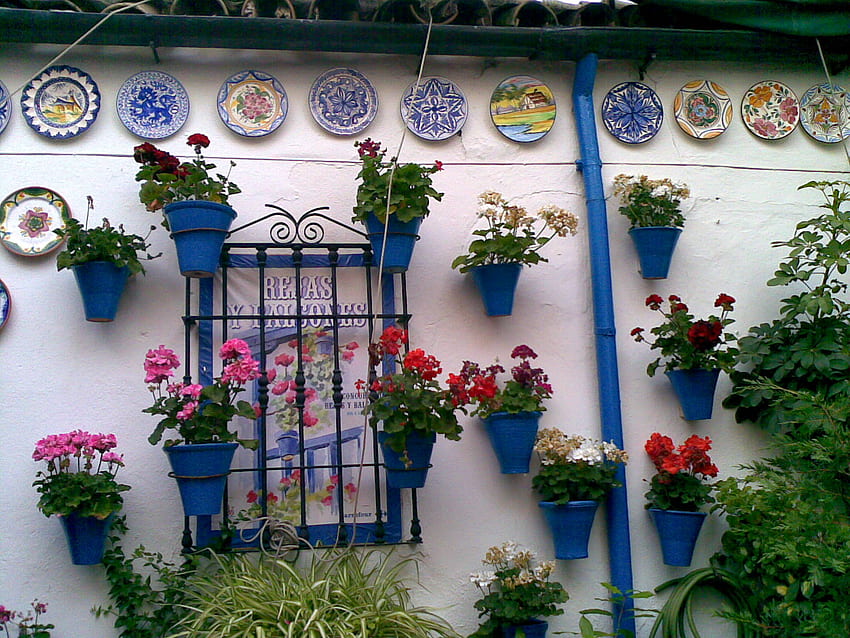 Cordoba, İspanya, duvar, çiçekler, andalucia, tencere HD duvar kağıdı