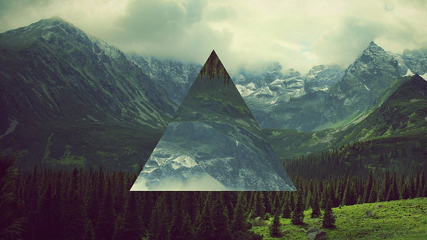 Forest, Polyscape, Triangle & Background HD wallpaper | Pxfuel