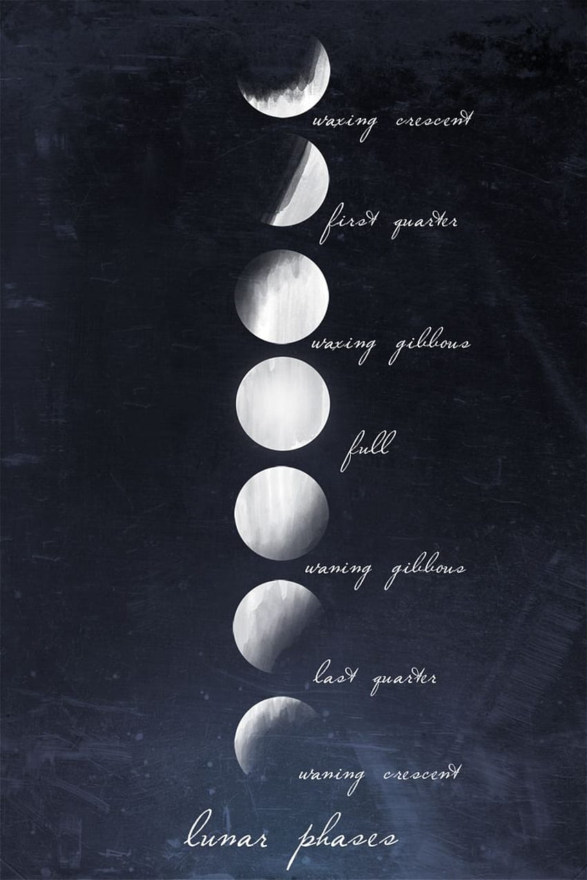Moon Phases, Moon Cycle HD phone wallpaper