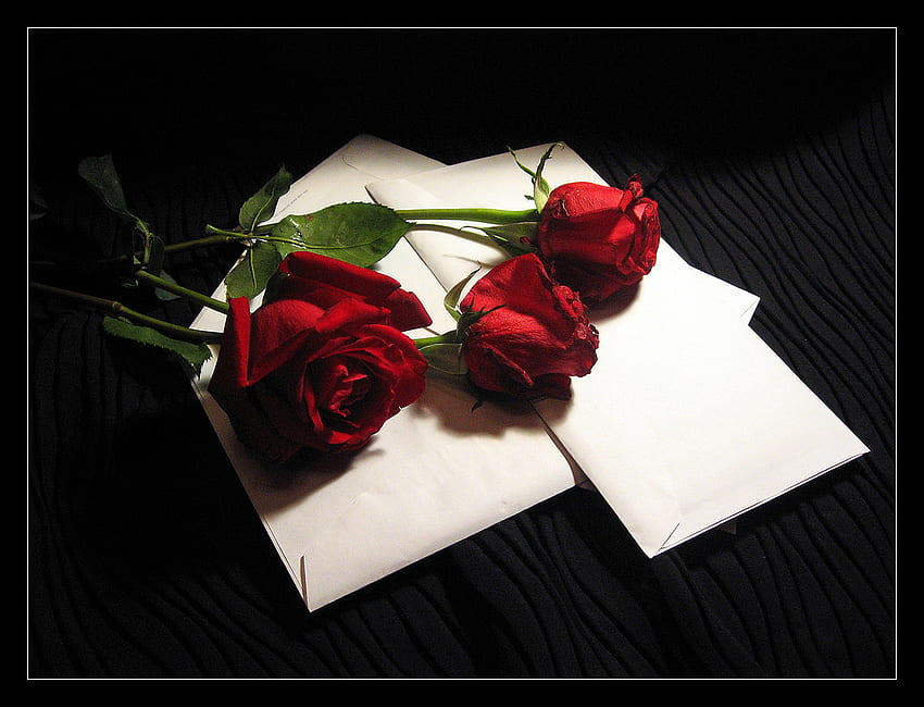 Aşk Mektupları, natürmort, kırmızı güller, mektuplar, aşk HD duvar kağıdı