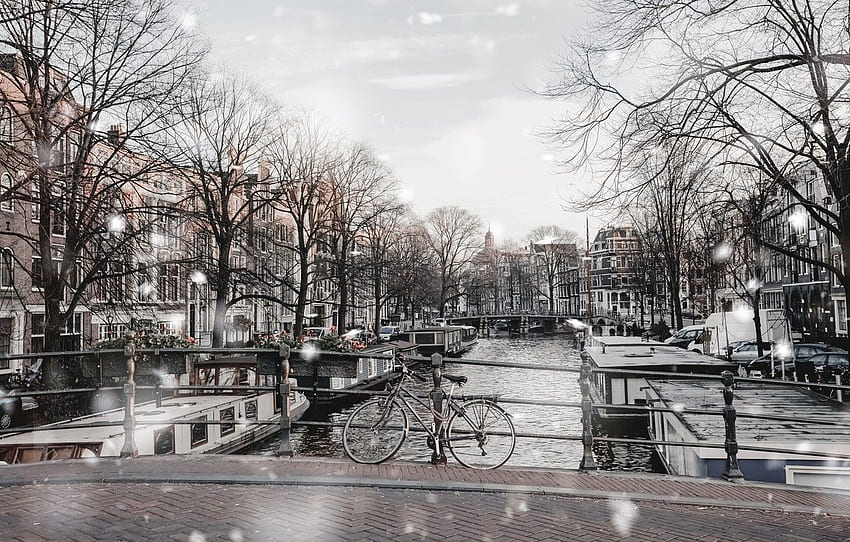 trees, bridge, river, street, Winter, Snow, Amsterdam HD wallpaper