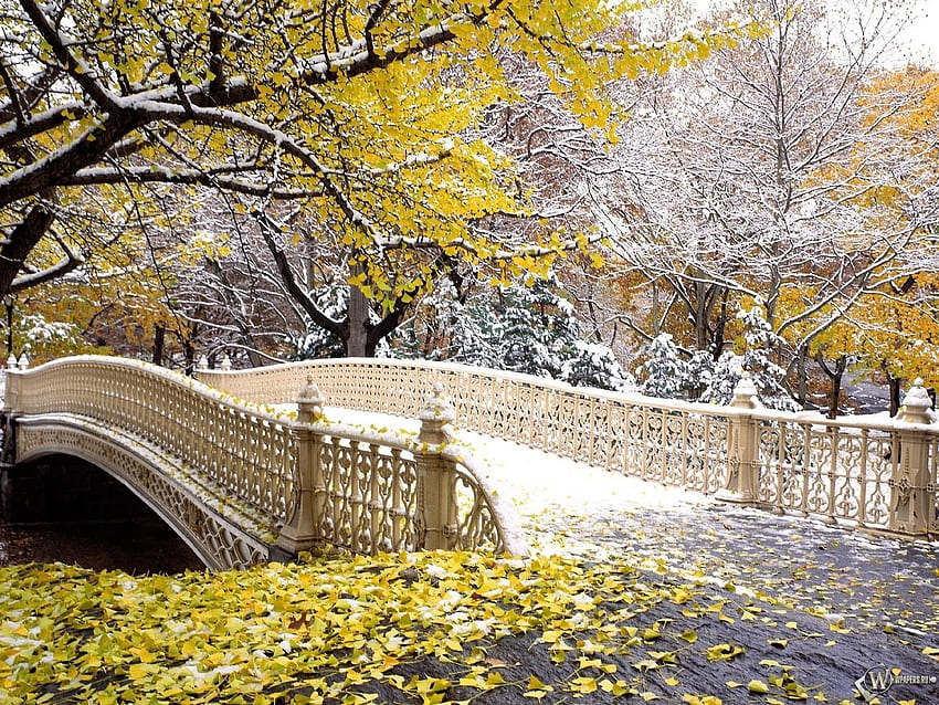 Natura, Jesień, Liście, Śnieg, Park, Most Tapeta HD