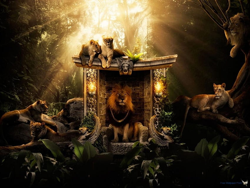 The Prides home, jungle, lions, lioness, home HD wallpaper