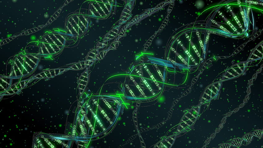 DNA, 3 d, 構造, 分子, パターン, 抽象化, 遺伝的, サイケデリック/およびモバイルの背景, DNA ヘリックス 高画質の壁紙