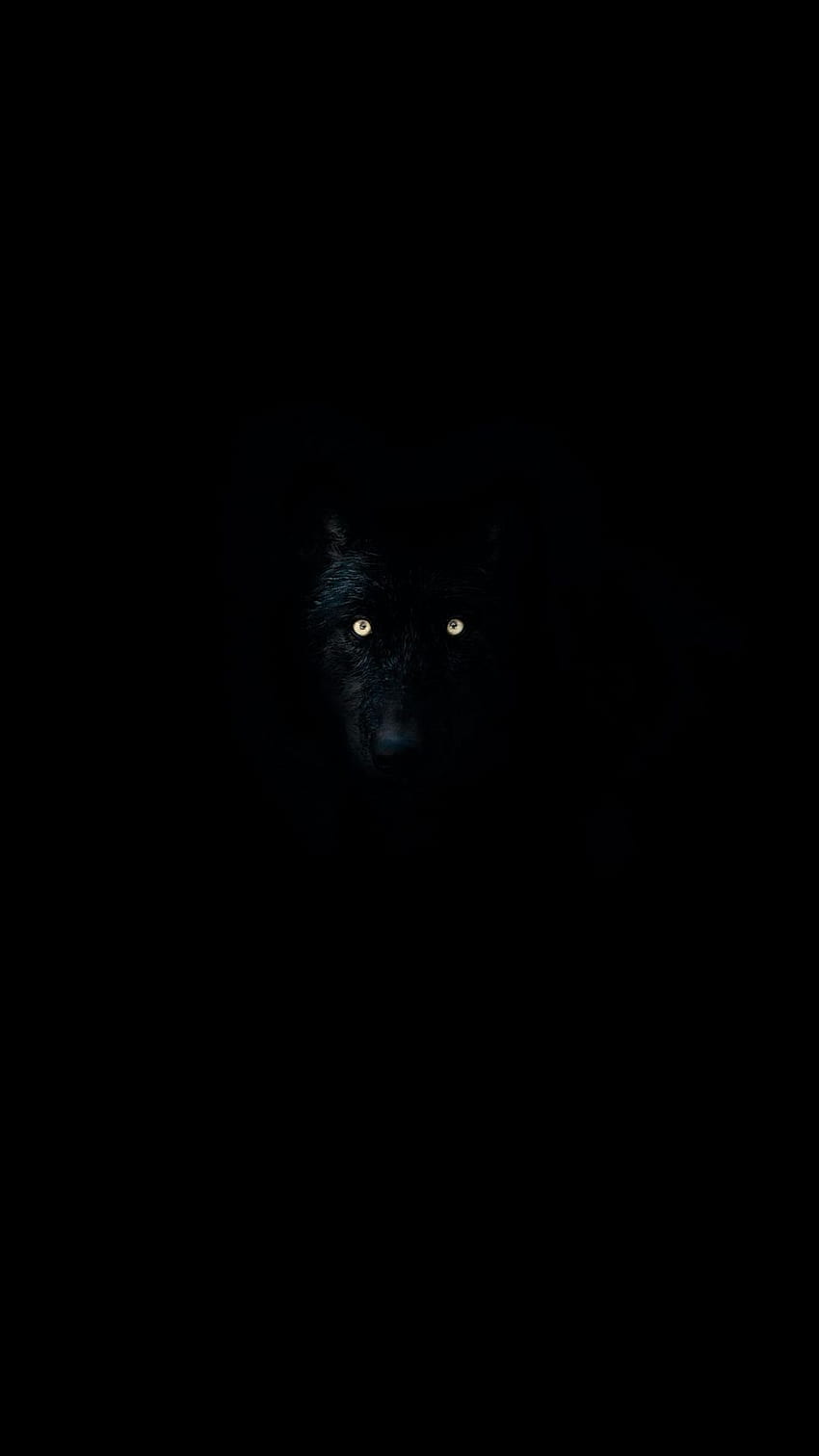 Wolf, Augen, Dunkelheit, Dunkel, Tier Iphone 8 7 6s 6 für Parallax-Hintergrund, Augen im Dunkeln HD-Handy-Hintergrundbild
