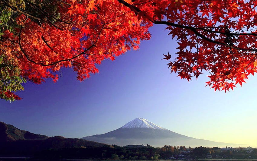 Inilah 12 Pemandangan Alam Terindah Di Jepang HD тапет