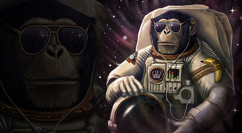 Papeis de parede Macaco Astronautas Óculos Capacete Fantasia Animalia Espaço Humor baixar ns, Macacos HD wallpaper