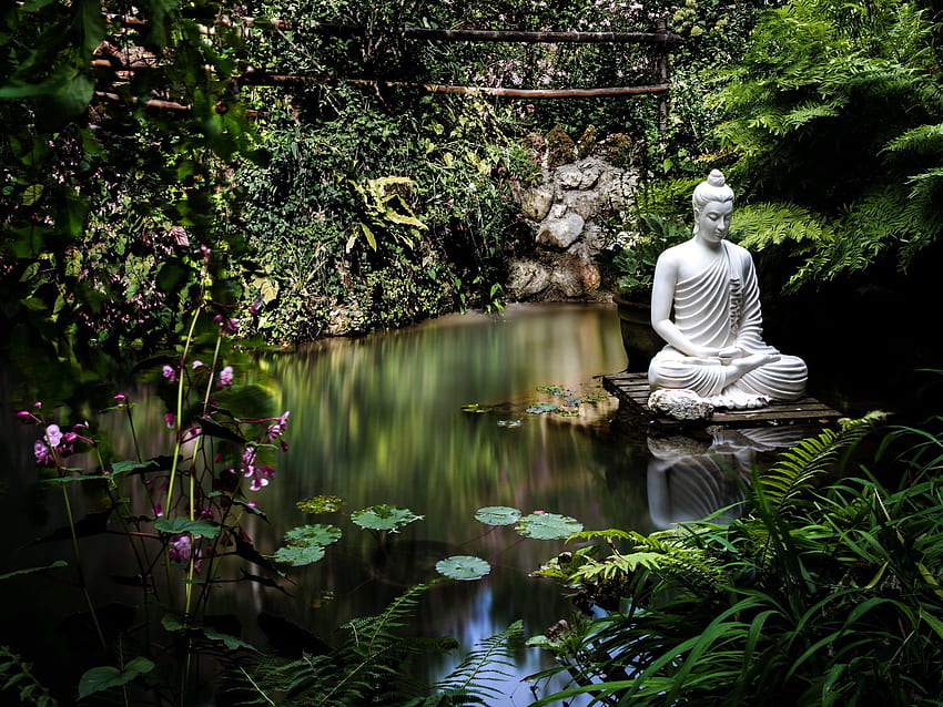 Meditation. Buddha-Meditation, Gartenteich-Design, Lord Buddha HD-Hintergrundbild