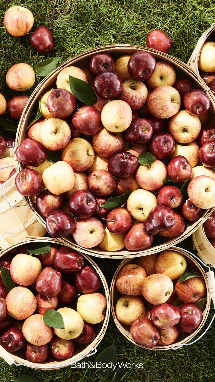 Pomme . Automne , Pommes d'automne, Bain et soins corporels Fond d'écran de téléphone HD