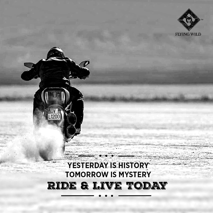 Flying Wild on Biker's Quotes. Bike rider, Motorcycle illustration, Biker quotes HD phone wallpaper