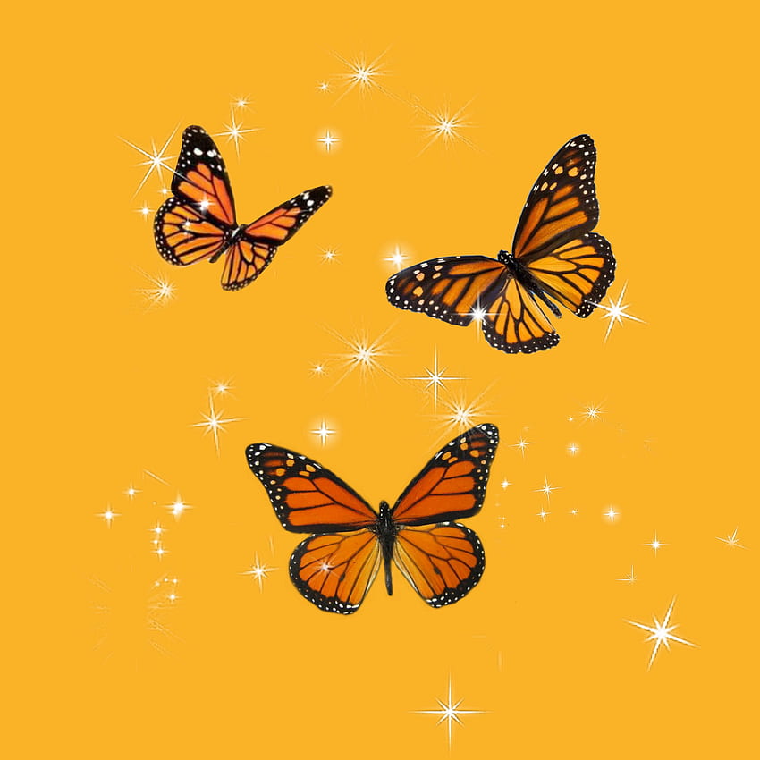 Yellow Orange Butterfly iPhone yellow Aesthetic iphone Butterfly Small  Butterflies HD phone wallpaper  Peakpx