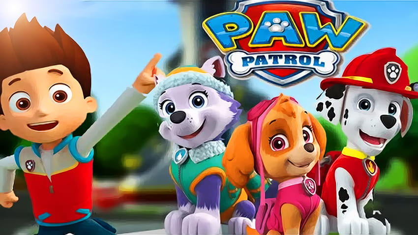 Paw Patrol , Rocky Paw Patrol HD wallpaper