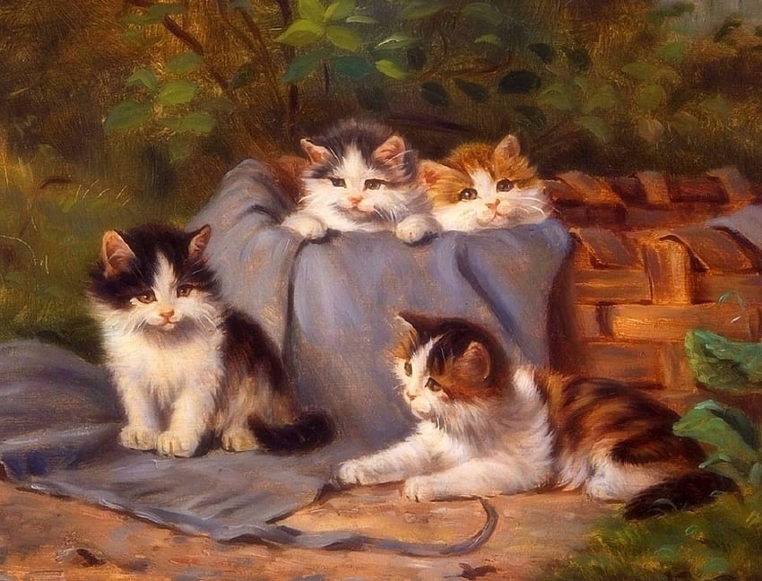 네 개의 작은 새끼 고양이, 사계절 사랑, 고양이, 그리기 및 페인트, 귀여운, , 솜털, 사랑스러운, 새끼 고양이 HD 월페이퍼
