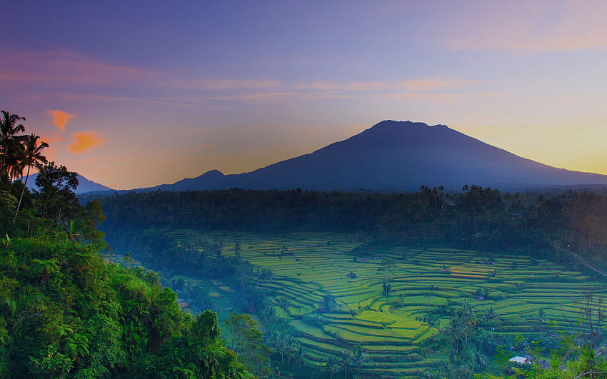 Bali, , sunset, volcano, rice fields, Benoa, Rice Fields Bali Indonesia HD wallpaper