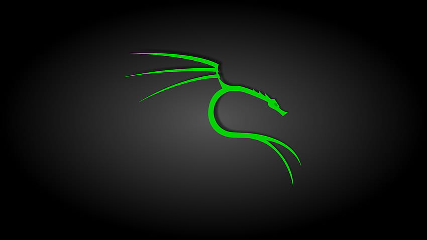 Black and Green Kali Linux, technologia, kali, linux, system operacyjny Tapeta HD