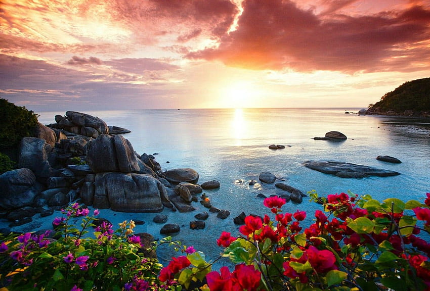 Koh Tag : Yuan Resort Nang Sea Thailand Tauchen Wunderschön HD-Hintergrundbild