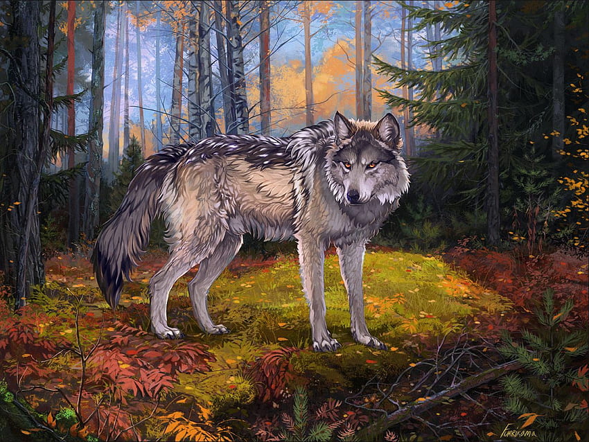 wolf, gray, forest, wildlife, art standard 4:3 background HD wallpaper