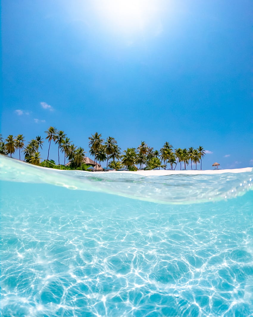 Kristallklares Wasser in der Nähe von Kokospalmen unter der Sonne – Meer, kristallklarer Ozean HD-Handy-Hintergrundbild