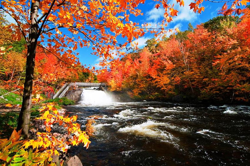 Есен в Квебек, Канада, водопади, река, есен, цветове, есен, скали HD тапет
