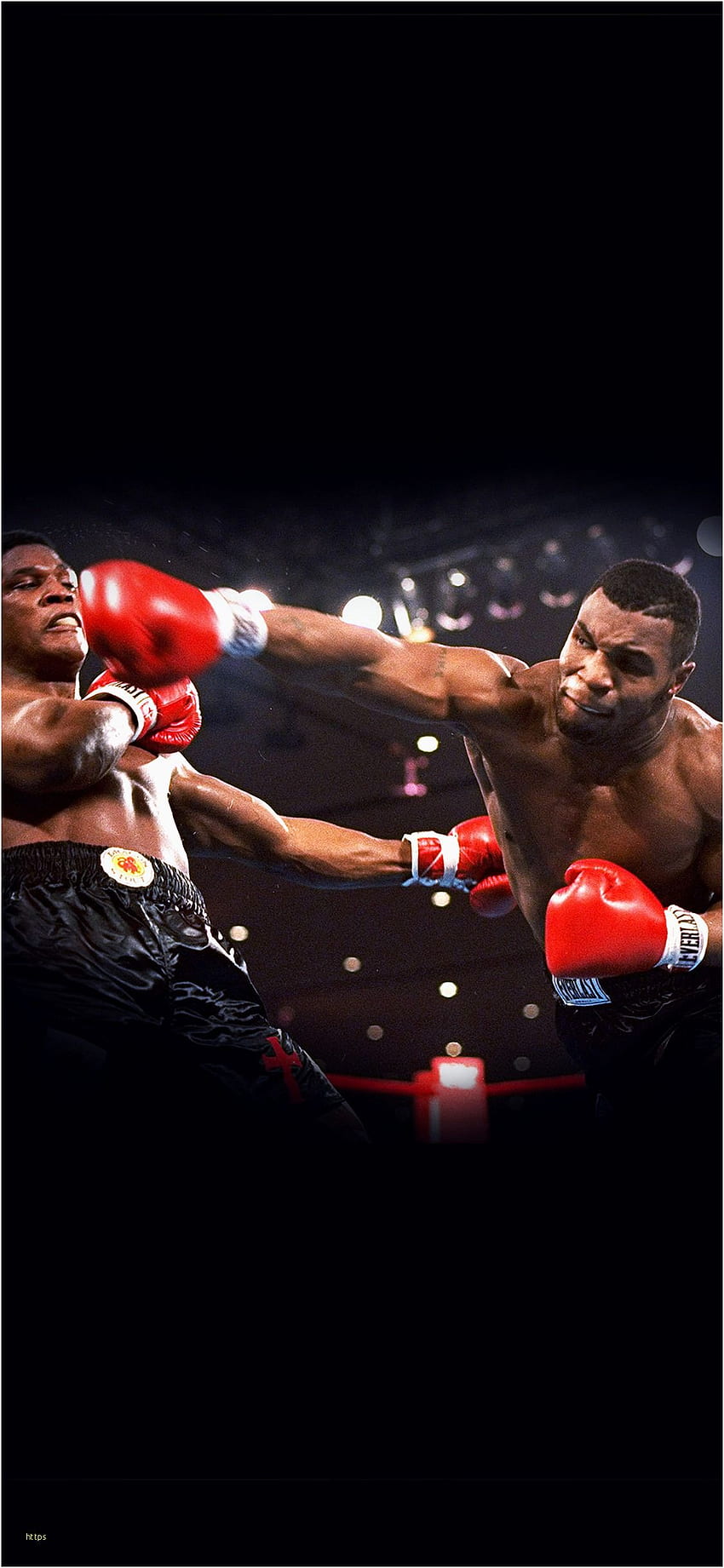 Mike Tyson Elegant Boxing 78 พื้นหลัง - Iron Mike Tyson - & พื้นหลัง วอลล์เปเปอร์โทรศัพท์ HD